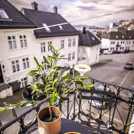 Sandviken Bergen